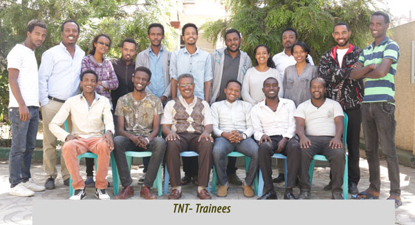 TNT-1